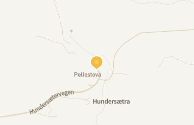 Kart med med nål på restauranten