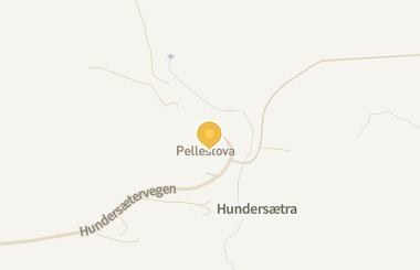 Kart med med nål på restauranten